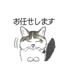 ねこのいも＆まっつぁん スタンプ（個別スタンプ：30）