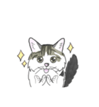 ねこのいも＆まっつぁん スタンプ（個別スタンプ：32）