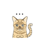 ねこのいも＆まっつぁん スタンプ（個別スタンプ：33）