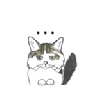 ねこのいも＆まっつぁん スタンプ（個別スタンプ：34）