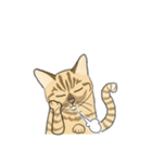 ねこのいも＆まっつぁん スタンプ（個別スタンプ：37）