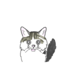 ねこのいも＆まっつぁん スタンプ（個別スタンプ：38）