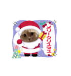 タロちゃんサンタ（個別スタンプ：8）