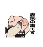 やさしく動くブタさん（個別スタンプ：11）