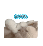 あみっこおもちうさぎくん（個別スタンプ：4）