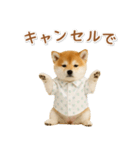 ネガティブな癒し柴犬（個別スタンプ：3）