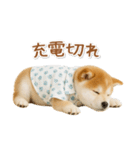 ネガティブな癒し柴犬（個別スタンプ：8）