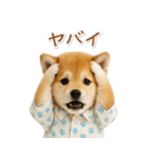 ネガティブな癒し柴犬（個別スタンプ：13）