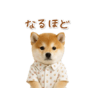 ネガティブな癒し柴犬（個別スタンプ：17）