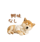 ネガティブな癒し柴犬（個別スタンプ：22）