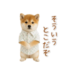 ネガティブな癒し柴犬（個別スタンプ：30）