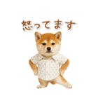 ネガティブな癒し柴犬（個別スタンプ：32）