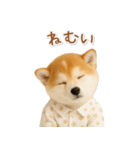 ネガティブな癒し柴犬（個別スタンプ：37）