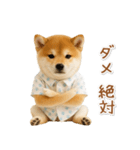 ネガティブな癒し柴犬（個別スタンプ：39）