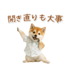 ネガティブな癒し柴犬（個別スタンプ：40）