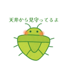 今年も来た！カメムシ（個別スタンプ：15）