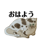 ねはんねこ（個別スタンプ：1）