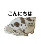 ねはんねこ（個別スタンプ：2）
