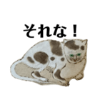 ねはんねこ（個別スタンプ：5）