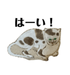 ねはんねこ（個別スタンプ：6）