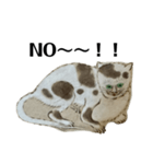 ねはんねこ（個別スタンプ：7）