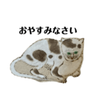 ねはんねこ（個別スタンプ：10）