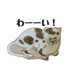ねはんねこ（個別スタンプ：13）
