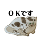 ねはんねこ（個別スタンプ：14）