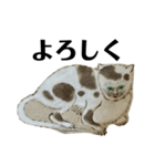 ねはんねこ（個別スタンプ：15）