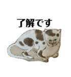 ねはんねこ（個別スタンプ：16）