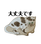 ねはんねこ（個別スタンプ：17）