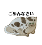 ねはんねこ（個別スタンプ：18）
