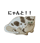 ねはんねこ（個別スタンプ：20）