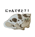 ねはんねこ（個別スタンプ：21）