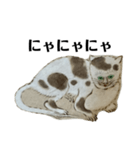 ねはんねこ（個別スタンプ：22）