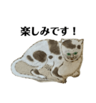 ねはんねこ（個別スタンプ：23）