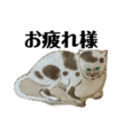 ねはんねこ（個別スタンプ：24）