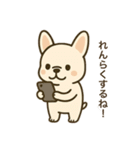 日常♡フレンチブルドッグ（個別スタンプ：10）
