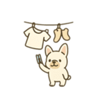 日常♡フレンチブルドッグ（個別スタンプ：19）