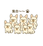 日常♡フレンチブルドッグ（個別スタンプ：20）