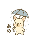 日常♡フレンチブルドッグ（個別スタンプ：24）