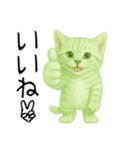 推し猫【緑】,,,,,,,,,,,,,,,（個別スタンプ：13）