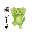 推し猫【緑】,,,,,,,,,,,,,,,（個別スタンプ：15）