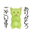 推し猫【緑】,,,,,,,,,,,,,,,（個別スタンプ：20）