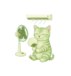 推し猫【緑】,,,,,,,,,,,,,,,（個別スタンプ：26）
