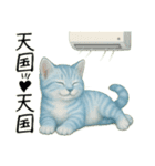 推し猫【青】,,,,,,,,,,,,,,,,（個別スタンプ：28）