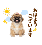 ぺき子犬☆毎日つかえるスタンプ（個別スタンプ：1）