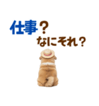 ぺき子犬☆毎日つかえるスタンプ（個別スタンプ：5）