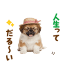 ぺき子犬☆毎日つかえるスタンプ（個別スタンプ：6）