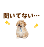 ぺき子犬☆毎日つかえるスタンプ（個別スタンプ：7）